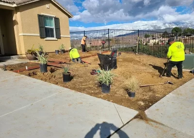 Affordable Yard Design