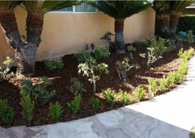 Dependable Garden Design