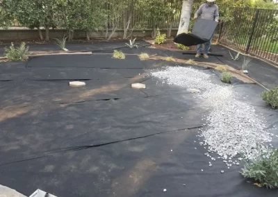 Dependable Yard Design