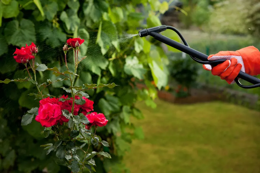How Lighting And Gardening Services Work Together Murrieta, CA
