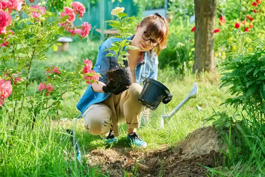 Integrating Gardening Services Into Patio Designs Murrieta, CA