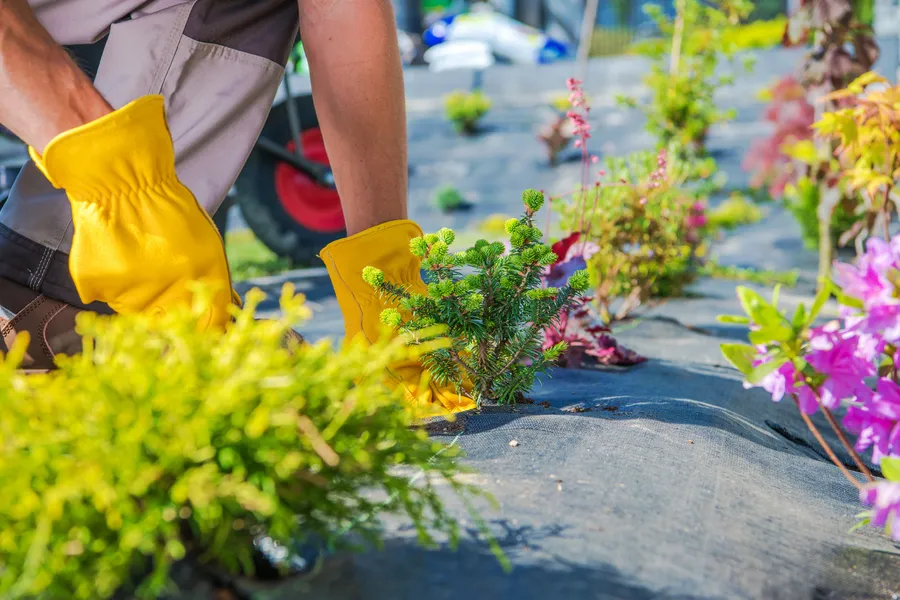 Integrating Gardening Services Into Patio Designs in Murrieta, CA