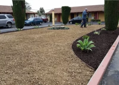 Professional Yard Design