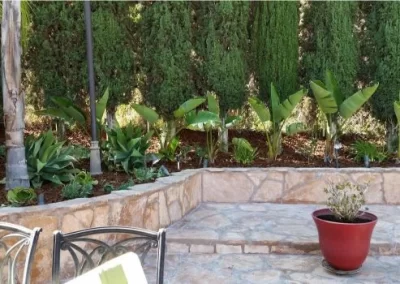 Quality Yard Design