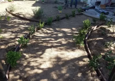 Top Backyard Patio Landscaping